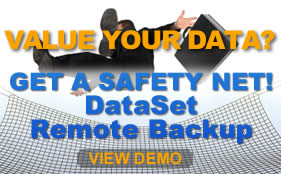 View the DataSet Backup Demo